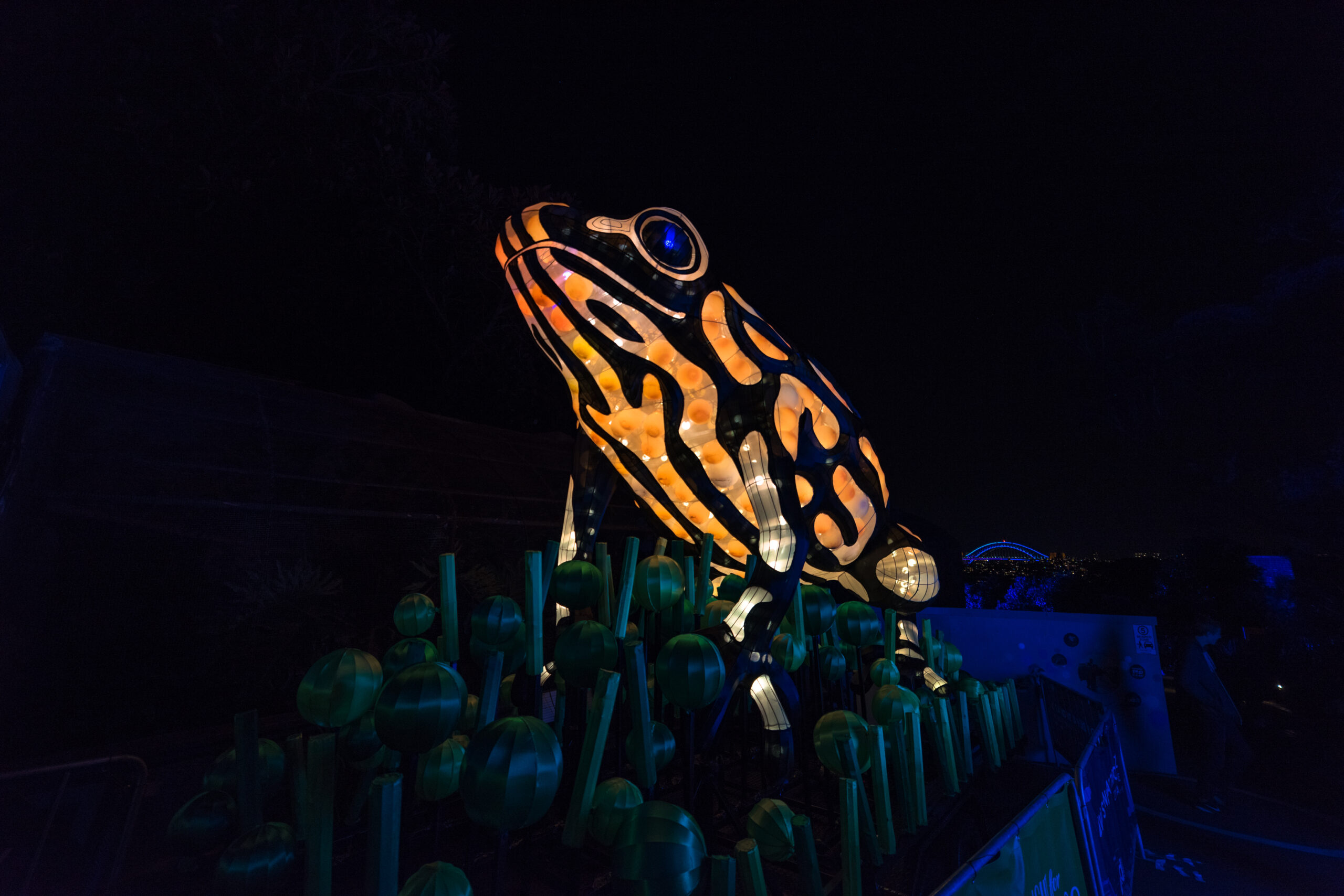 colossal-foundation-fight-to-protect-amphibians